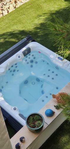 Villa Pura Vida Piscine Jacuzzi