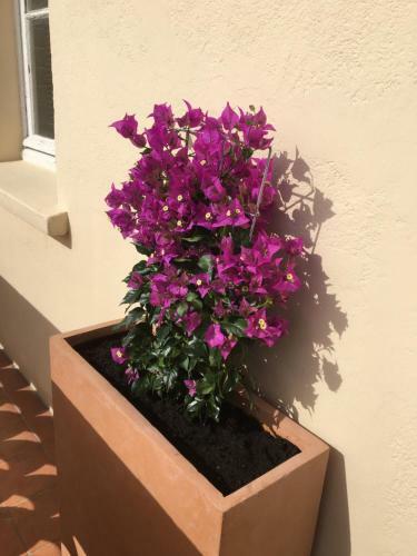 Apartamento Face � La Mer