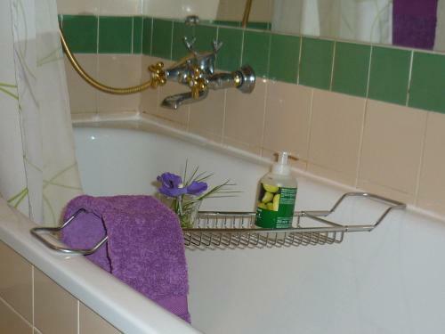 Apartamento Le Statue-luxury Open Space-five Stars Suite