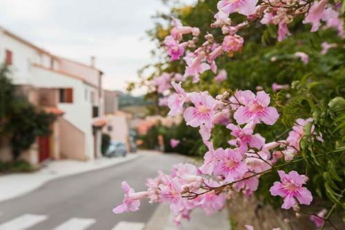 Villa Regina's Banyuls - Les Hibiscus