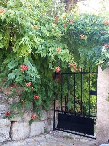 Bed & Breakfast Le Vallon de Bargemon