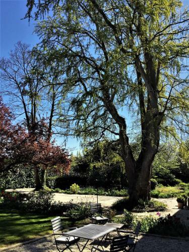 Bed & Breakfast Le Grand Arbre