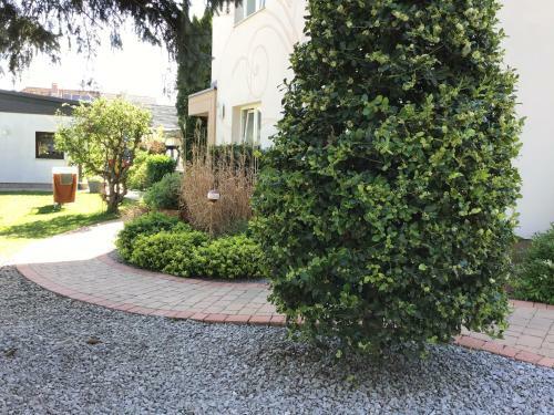 Hostal Themenpension Haus Sanz