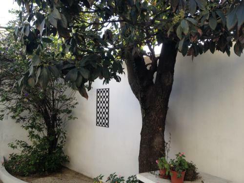 Hostal El Jard�n Suites And Guest House
