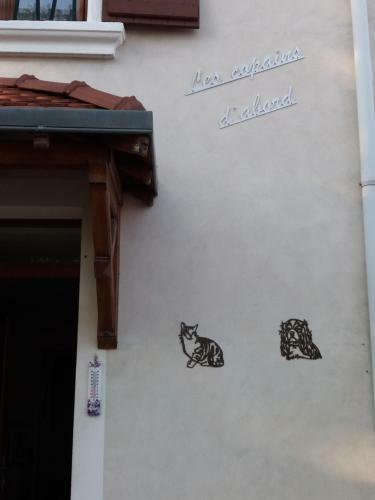 Les Copains D'abord