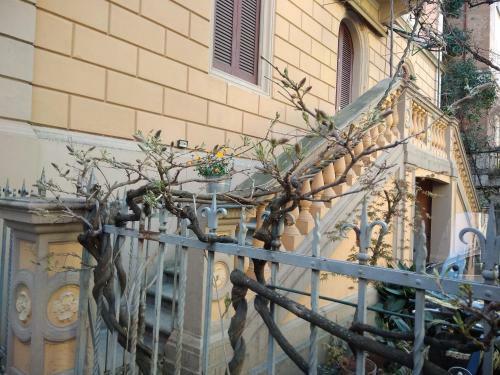 Apartamento Tilia