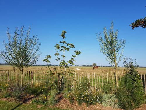 Apartamento Heimatliebe Ferienwohnung