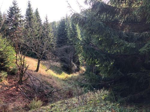Apartamento Schaefers Ferienwohnung