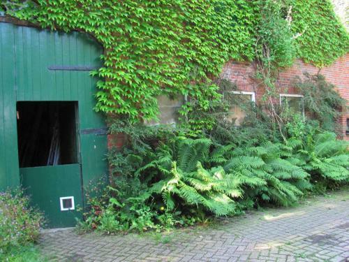 G�stezimmer Im Engelshof, 61224
