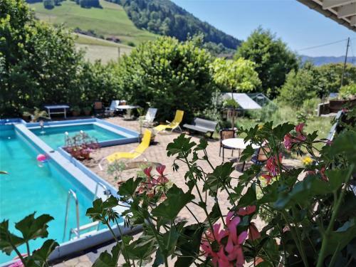 Apartamento Ferienwohnungen Vogelsang