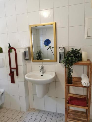 Apartamento Ferienwohnungen Vogelsang