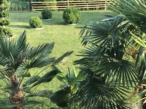 Apartamento Ferienwohnung Palmengarten