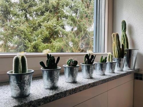 Limes Apartment -�bernachten Am Limes-