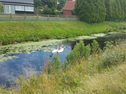 Apartamento Erdmann - Ferienwohnung Daddeldu