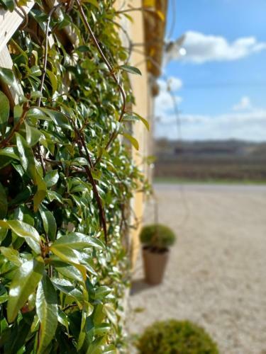 G�te de Livraise, Au C?ur Du Perche