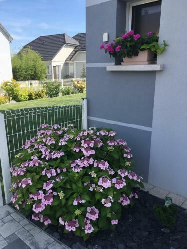 Bed & Breakfast La Maison de Rom�o