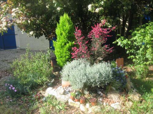 Bed & Breakfast Villa Philis