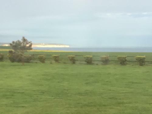 Bed & Breakfast Villa Les Falaises