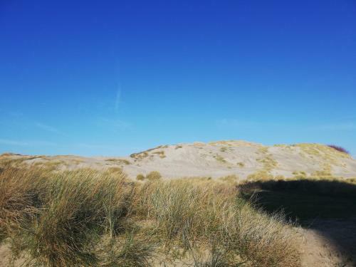 Apartamento Joli Appt Cocooning Au Pied Des Dunes