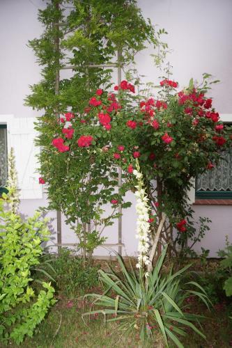 Apartamento Haus Sturmfried