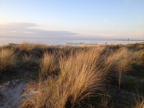 Apartamento Ferienwohnung Ostseeblick