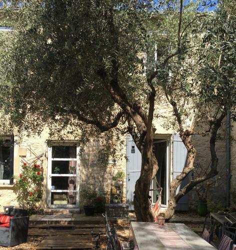 Maison Vigneronne Proximit� de N�mes