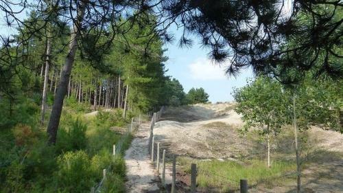 Apartamento Paddle - Vue Mer - 100m Plage