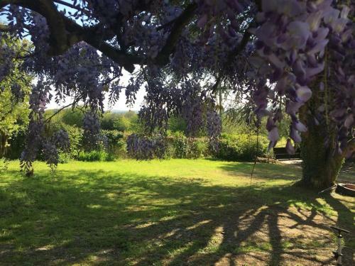 Gites Le Segur - Wisteria Cottage