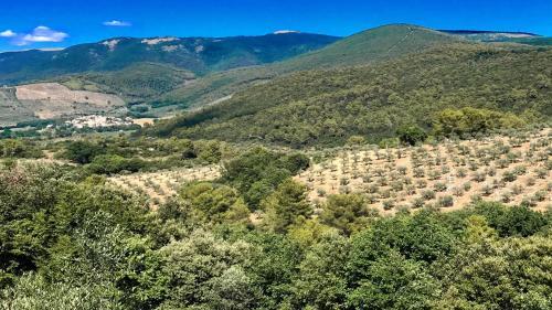 Villa Vallocchia - Sleeps 18 Exclusive Poolgrounds 6