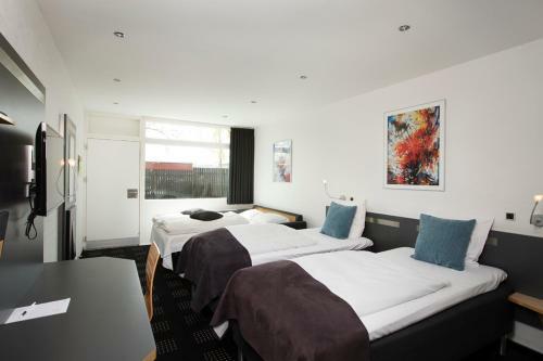 Hotel Hedegaarden