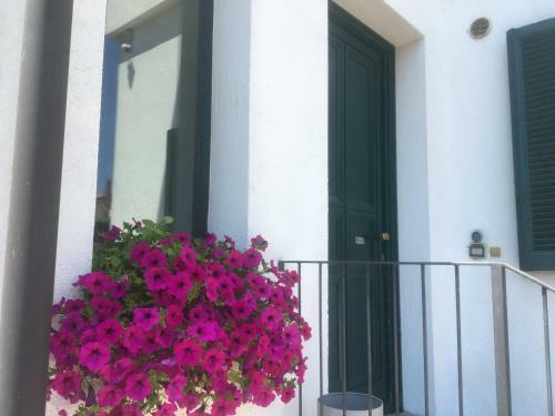 Casa Vacanze Magnolia