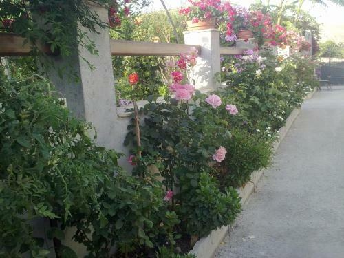 Bed & Breakfast Villa Delle Rose