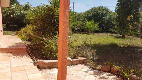 Home Holidays Pintadera