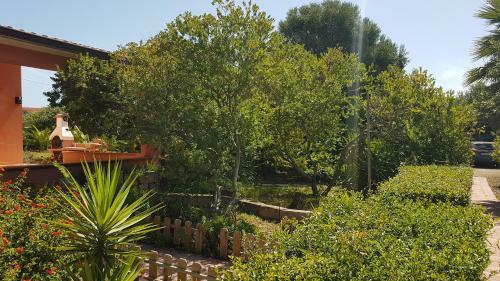 Home Holidays Pintadera