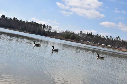 Schatzis Sch�ferwagenhotel Am See
