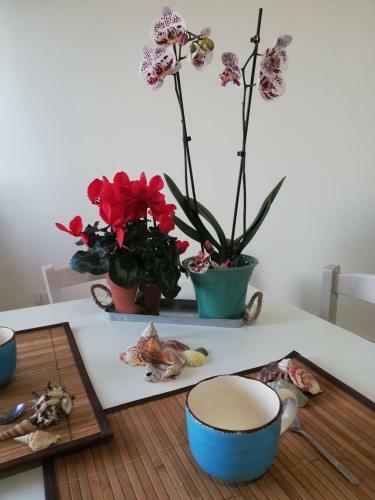 Apartamento Le Torrette - Tropea