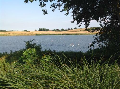B�gebjergg�rd Bed & Breakfast