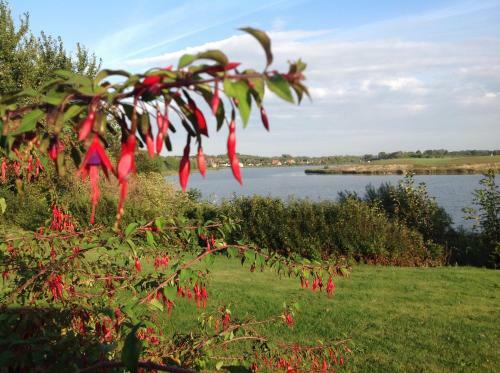 B�gebjergg�rd Bed & Breakfast