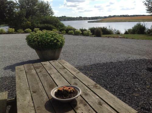 B�gebjergg�rd Bed & Breakfast