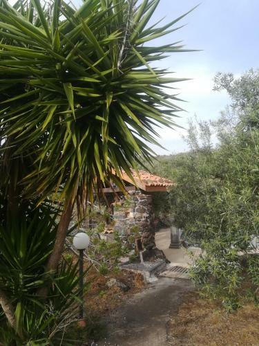 Apartamento Belvedere Bronte