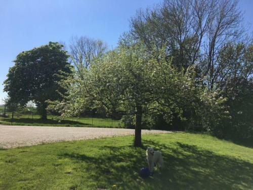 Apartamento Sommerpolderhof