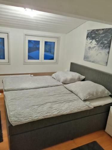 Albi Apartment