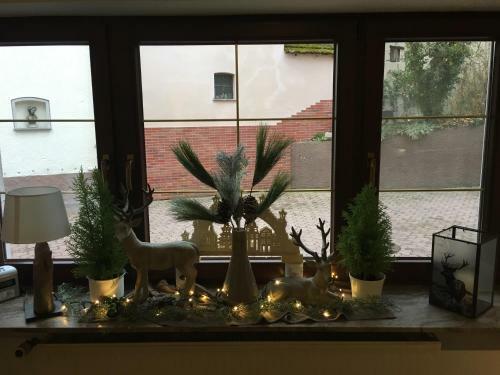 Bed & Breakfast G�stehaus K�hler