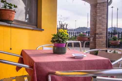Hostal La Locanda Dell'autista
