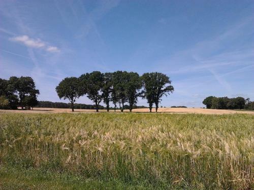 Hof Holthuis