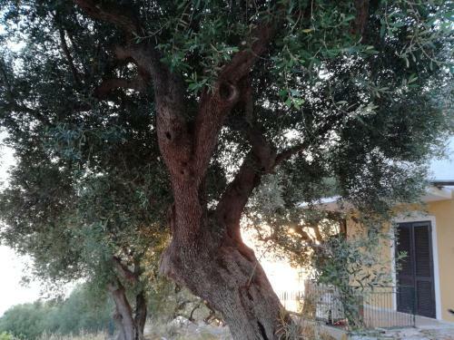 Apartamento Taverna Catena