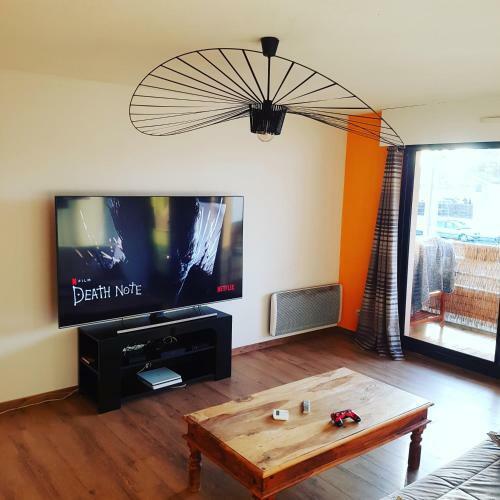 Appartement Blagnac