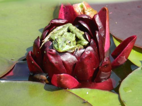 Bed & Breakfast La Maison Des Escargots
