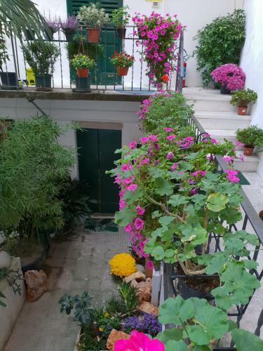 Hostal La Casa Di Daniele