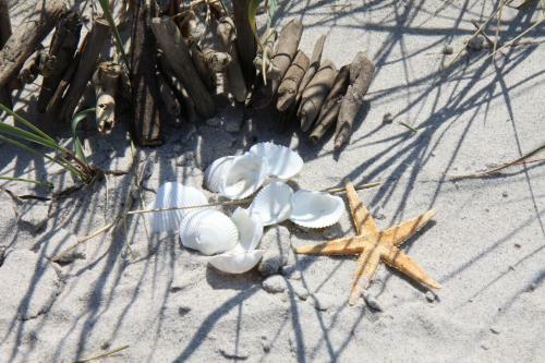 Apartamento Lust Auf Meerblick Und Strand